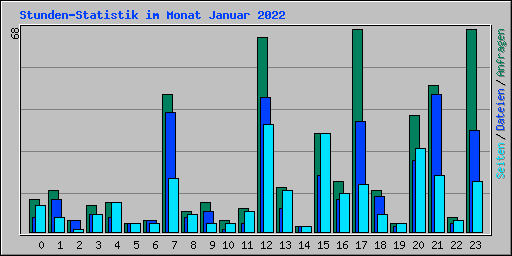 Stunden-Statistik im Monat Januar 2022