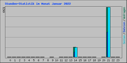 Stunden-Statistik im Monat Januar 2022