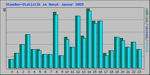 Stunden-Statistik im Monat Januar 2025