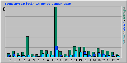 Stunden-Statistik im Monat Januar 2025