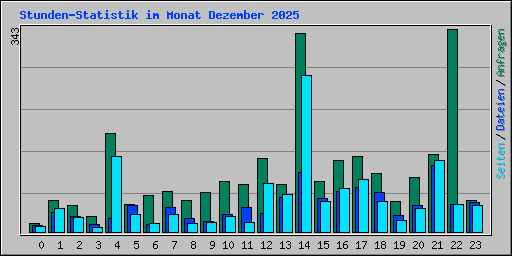 Stunden-Statistik im Monat Dezember 2025