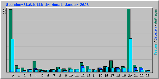 Stunden-Statistik im Monat Januar 2026