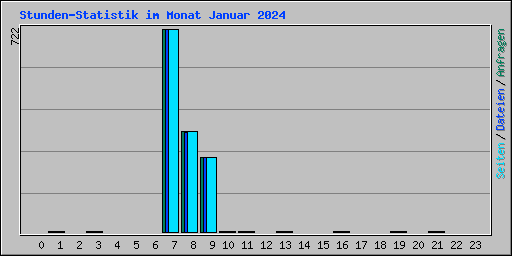 Stunden-Statistik im Monat Januar 2024