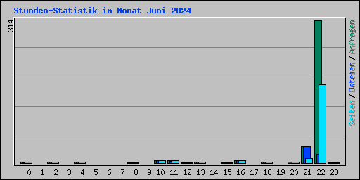 Stunden-Statistik im Monat Juni 2024
