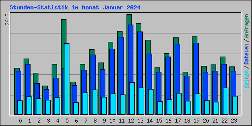 Stunden-Statistik im Monat Januar 2024