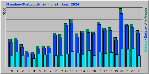 Stunden-Statistik im Monat Juni 2024