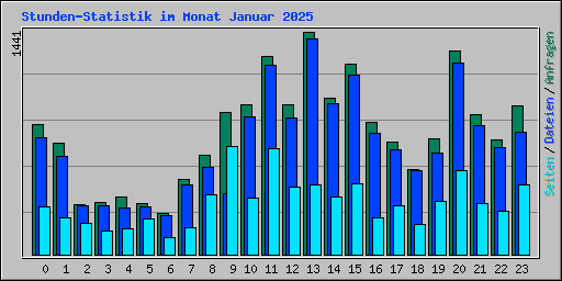 Stunden-Statistik im Monat Januar 2025