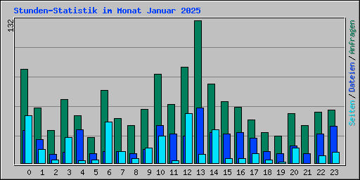 Stunden-Statistik im Monat Januar 2025