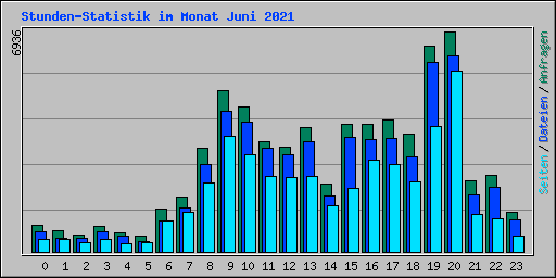 Stunden-Statistik im Monat Juni 2021