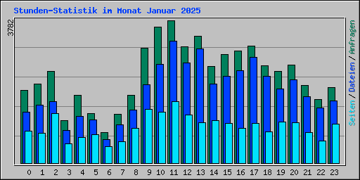 Stunden-Statistik im Monat Januar 2025