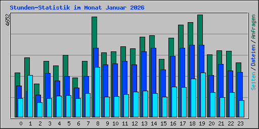 Stunden-Statistik im Monat Januar 2026