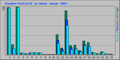 Stunden-Statistik im Monat Januar 2024