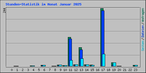 Stunden-Statistik im Monat Januar 2025