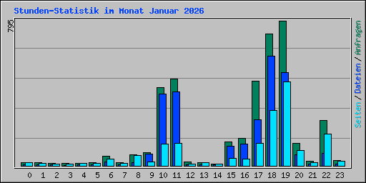 Stunden-Statistik im Monat Januar 2026