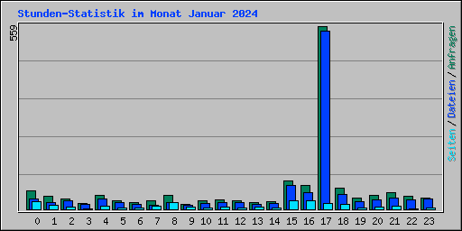 Stunden-Statistik im Monat Januar 2024