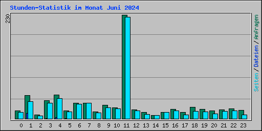 Stunden-Statistik im Monat Juni 2024