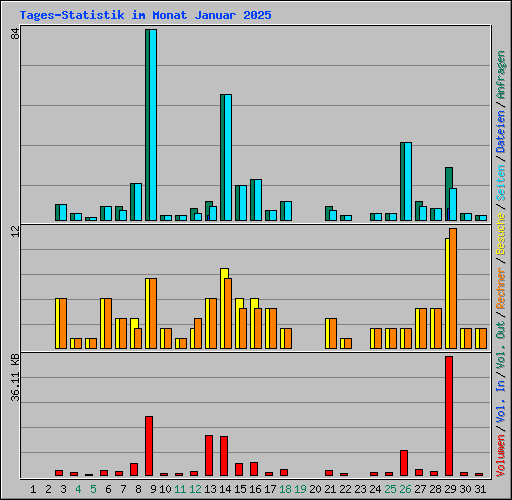 Tages-Statistik im Monat Januar 2025