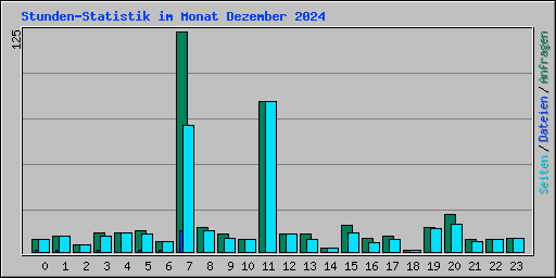 Stunden-Statistik im Monat Dezember 2024