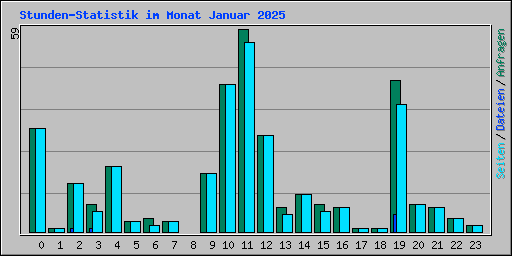 Stunden-Statistik im Monat Januar 2025