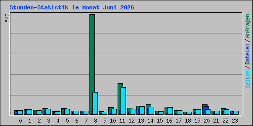 Stunden-Statistik im Monat Juni 2026